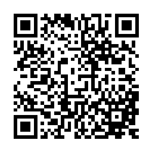 而从始至终都没有出现过的青铜树到底又扮演着一个怎样的角色二维码生成