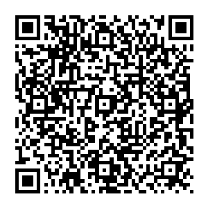 而他　身上也是开始快速结冰　就在他自己也即将被冻住的时刻　大手对着自己一挥　镇之意全力爆发二维码生成