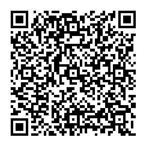 而他与这石头无冤无仇 就这么切下去 又有些于心不忍 正在犹豫之时 一旁的老猴子却是叫他赶紧出手二维码生成