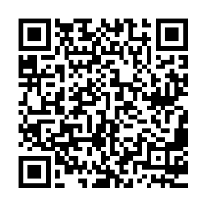 而他们仅仅握着扶手的手掌更是因为过于用力而开始变得僵硬二维码生成