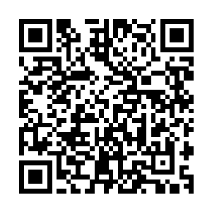 而他们只能被动的接受甚至逼迫自己改造成为适应社会的模样二维码生成
