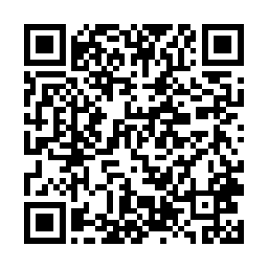 而他们的尸体会在十天内统统被他们的宠物啃噬殆尽二维码生成