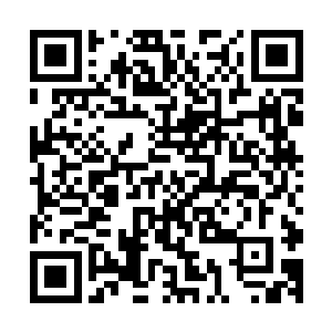 而他们的超算计算速度和性能包括智能都无法跟我和小光相比二维码生成