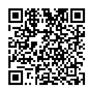 而他们逃亡的地方肯定是没有网络和晶眼监控的犄角旮旯二维码生成