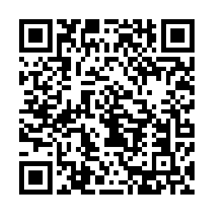 而他在经济工作上的表现就是其综合实力最强有力的一部分二维码生成