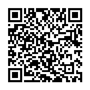 而他本身的力量却全部转换成了最为实在的基础属性二维码生成