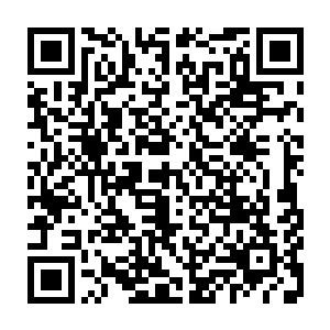 而他极富蛊惑力的演讲和超强的战斗力使数以千计的变形金刚成为了他的联盟二维码生成
