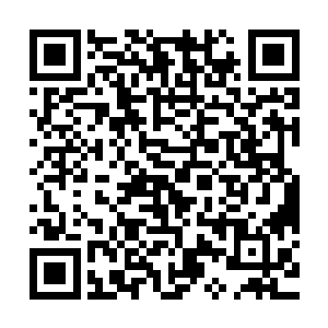 而他自己则抽出了整整一个下午用来照顾普伦古力狗腿是无辜的二维码生成