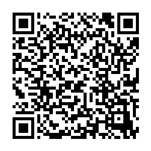 而他身下的冰原也如同受到无数炮弹的轰击一般被这些冰雹轰击得千疮百孔二维码生成