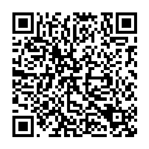 而他身边几乎快被遮挡住的便是先前在半路救了殷暖和水奴的苏碧湖二维码生成