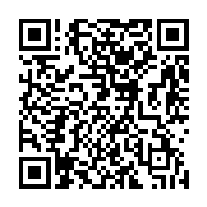 而余下的众人有些目瞪口呆的看着无敌神队几人的激动神色二维码生成