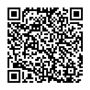 而作为首领的罗林也不会敏感地每时每刻用特权来显示自己的地位二维码生成