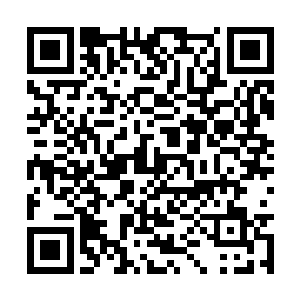 而你们……虽然我可以尝试用我的能力帮你们回去二维码生成