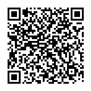 而像你这样能够理解和有很大天赋学习的青少年又不肯来系统和仔细学习二维码生成