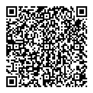 而像是跟屁虫一般被他远远甩在后方的归元神宗宗主则越來越大狰狞他几乎再次见证了风清扬的成长而且每一次相聚的时间更让他气氛二维码生成