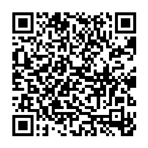 而公共交通服务体系实际上也代表带着一个地方基础设施和配套服务体系的建设二维码生成
