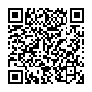 而兰开斯特用他敏锐的触感出色――甚至精彩地完成了这项任务二维码生成