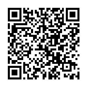 而其他另外三个应劫期也纷纷表示自己当时完全没敢去多言二维码生成