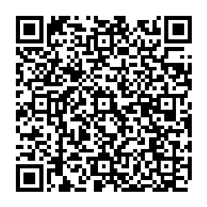 而其他还在战斗的两个战斗团伙在看到杨晨和赵羽已经斩杀一头炼虚中期的妖兽之后二维码生成