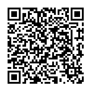 而其他领主界主天尊所处的领域没有这种自我完善和修复功能的母星作为后盾二维码生成