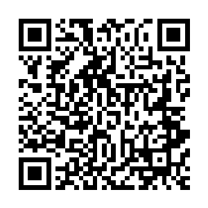 而冀黑杵实的一张张面孔混合着几杯苞谷酒下去渗上来的红潮二维码生成