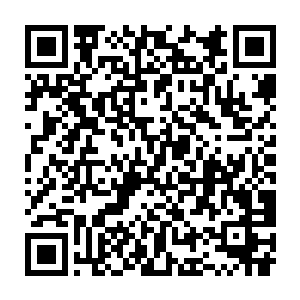 而几乎就在楚旬以佛门不动明王真经的秘法化为金身全力防御的瞬间二维码生成