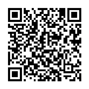 而几乎明白那毛线团代表的意思就想远离这里的众宠二维码生成