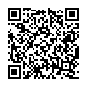而出现的苏凡和田晓静自然也没理会众人的议论声二维码生成