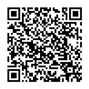 而刀疤他们却还在对着这样一个价值已经不高的巨蛇进行一些勘测呢二维码生成