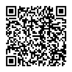 而刚刚他们就是凭借这张羊皮卷中蕴含的可怕力量直接轰飞了那后羿和夸父二维码生成