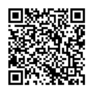 而刚好这女警看到巷子里林浩将水墨推到在墙上的一幕二维码生成