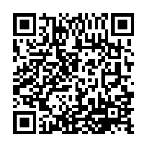 而别的家族和门派的人则是恨不得把孙耀威给撕了才好二维码生成