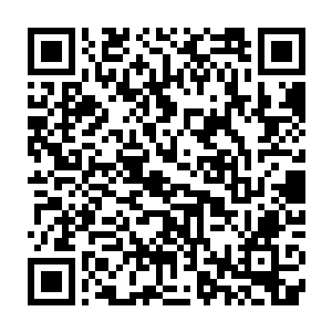 而剩下的一部分攻击就算是落在了那血茧的上面也已经很难对这血茧造成威胁了二维码生成