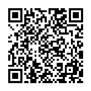 而北大离子通道实验室――除了杨锐的年纪稍微有些令人不自在二维码生成