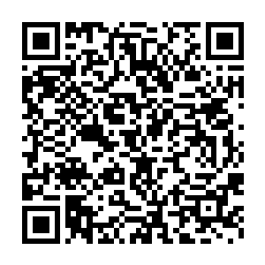 而半个月的时间也差不多足够建立一份比较可行的试验数据报告了二维码生成