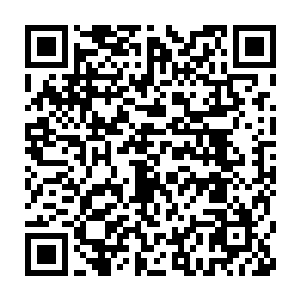 而南璟自己带来的几个侍卫随后皇上派给南璟的人在后面慢慢的跟随着二维码生成