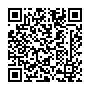 而卡卡带伤打世界杯的表现已经让穆里尼奥将他打入了冷宫二维码生成