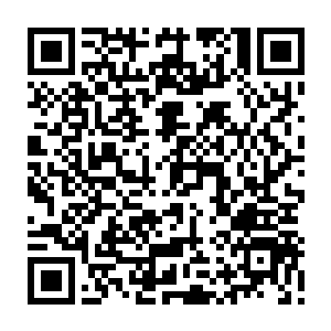 而原木令牌则是公西小洋他们家族灭门的原因之一……这其中的曲曲折折二维码生成
