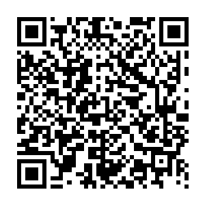 而原本就尴尬不已的血幽紫被流墨墨的眼神和鄙夷的态度弄的更是无地自容二维码生成
