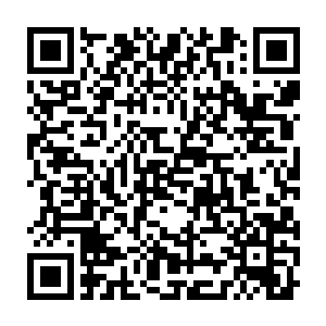 而原本还因为那些蠢狼不按他们计划走的羊族见状不由哈哈大笑起来二维码生成