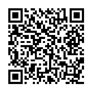 而取得的战果则是强势斩杀了一位伪王主和数位联手的域主二维码生成