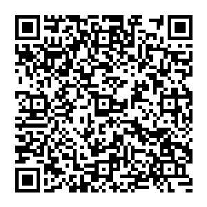 而另一部分对于研发没有天分的大厨则开始专门为一些守旧的富豪或者需要现实美食服务的富豪们服务二维码生成