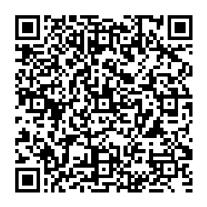 而只是简单的将几种比较常用的技能全都提升到大师级以上……然后剩下的那些经验值则是暂时留存二维码生成