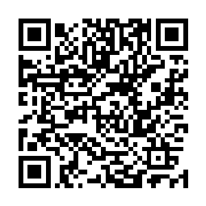 而同样受伤很重的琴绝也拿出自己早就准备好的疗伤药吞服二维码生成