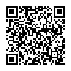 而后瞅了瞅现在他们所在的地方和宫殿外的距离二维码生成