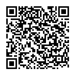 而后者略微犹豫了一下在洛雨寒到来之前将会议室的正主位置让了出来二维码生成