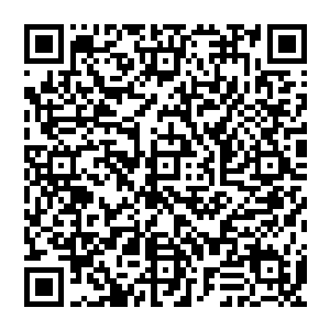 而和流墨墨他们一样初次到来的修仙者则是迎上为首的几名白衫护卫交上灵石取得入岛凭证进入二维码生成