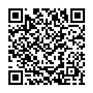 而唐淼所率领的机甲小队这次的任务同样是侦查二维码生成