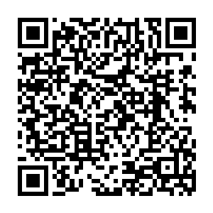 而唯一能够帮他们捞回一点儿颜面的就是王家的一个晚辈被他们给扣了起来二维码生成