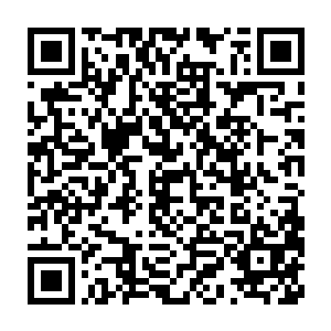 而器一和器二也只用了几息的时间便将眼前的这个元力锁分析了出来二维码生成